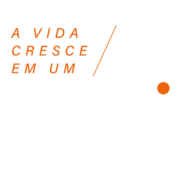 (c) Pavei.com.br